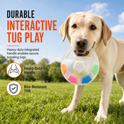 Interactive Squeaky Dog Ball with Handle