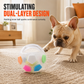 Interactive Squeaky Dog Ball with Handle