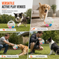 Interactive Squeaky Dog Ball with Handle
